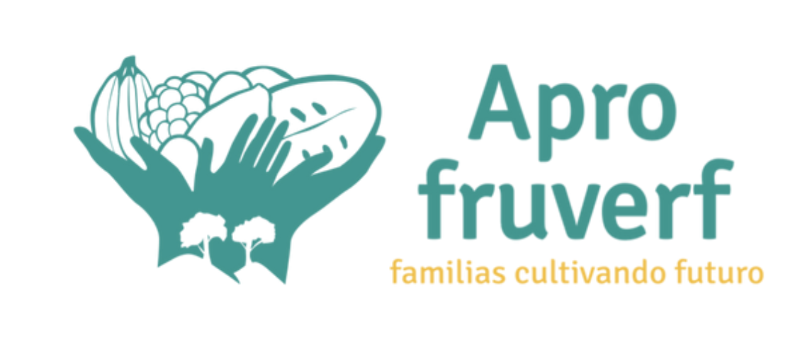 Diseño gráfico y branding para crear marcas memorables